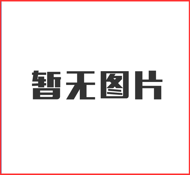 日500吨选金氰化钠浸出工艺